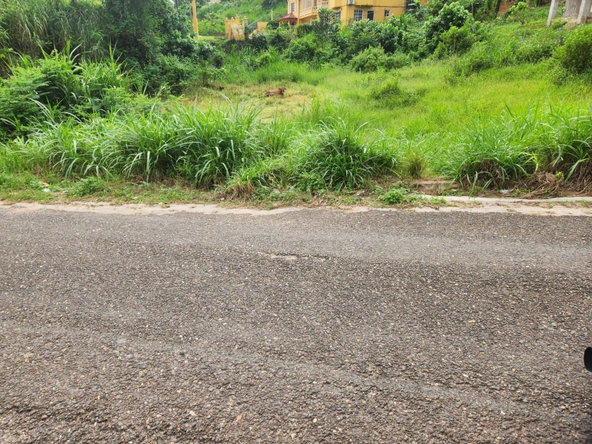 Fourth image of Lot 4 Mckinley Drive in Brumalia, Manchester, Jamaica - property is For Sale