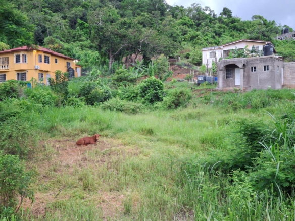 First image of Lot 4 Mckinley Drive in Brumalia, Manchester, Jamaica - property is For Sale