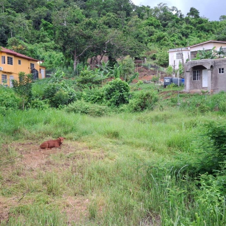 First image of Lot 4 Mckinley Drive in Brumalia, Manchester, Jamaica - property is For Sale