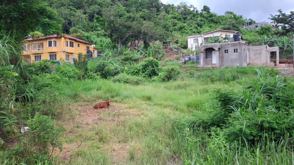 First image of Lot 4 Mckinley Drive in Brumalia, Manchester, Jamaica - property is For Sale