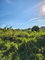 First image of 17 Merrivale Meadows, Chatea in Chateau, Clarendon, Jamaica - property is For Sale