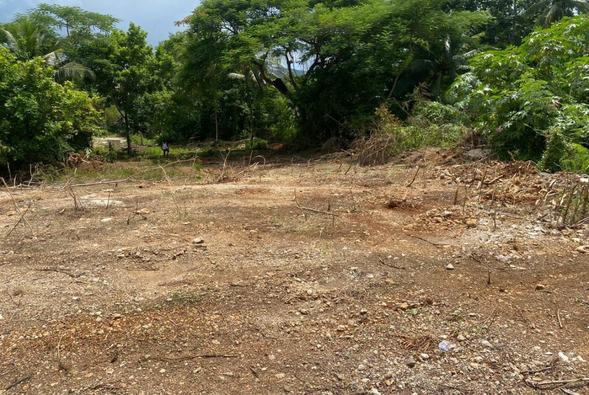 Second image of 113 Wellington Avenue, Mickle in Linstead, St. Catherine, Jamaica - property is For Sale