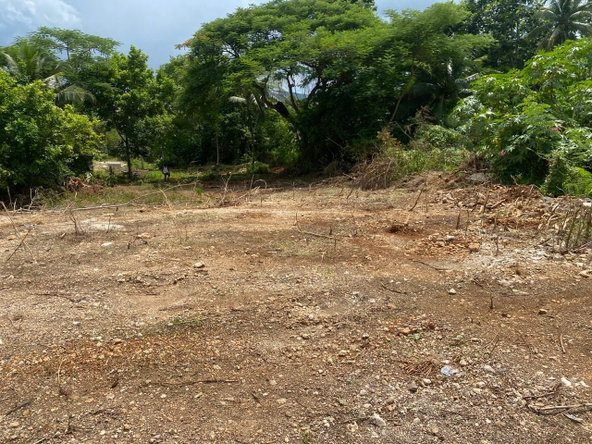 Second image of 113 Wellington Avenue, Mickle in Linstead, St. Catherine, Jamaica - property is For Sale