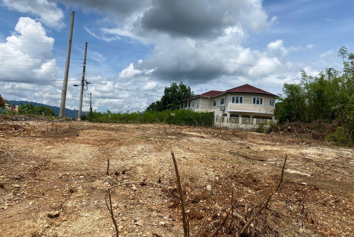 Eleventh image of 113 Wellington Avenue, Mickle in Linstead, St. Catherine, Jamaica - property is For Sale