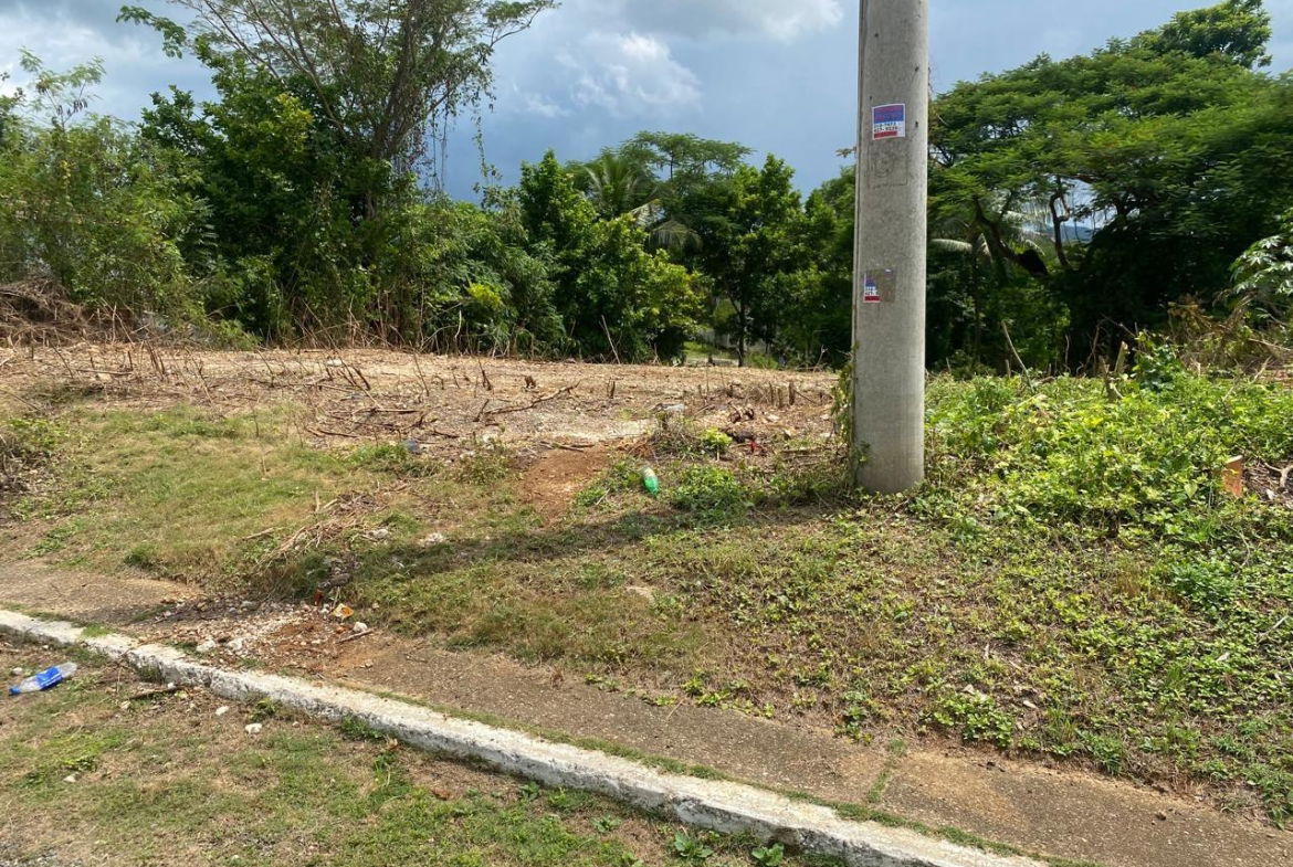 Ninth image of 113 Wellington Avenue, Mickle in Linstead, St. Catherine, Jamaica - property is For Sale