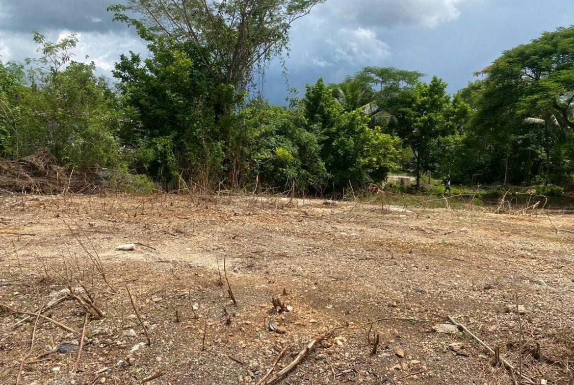Tenth image of 113 Wellington Avenue, Mickle in Linstead, St. Catherine, Jamaica - property is For Sale