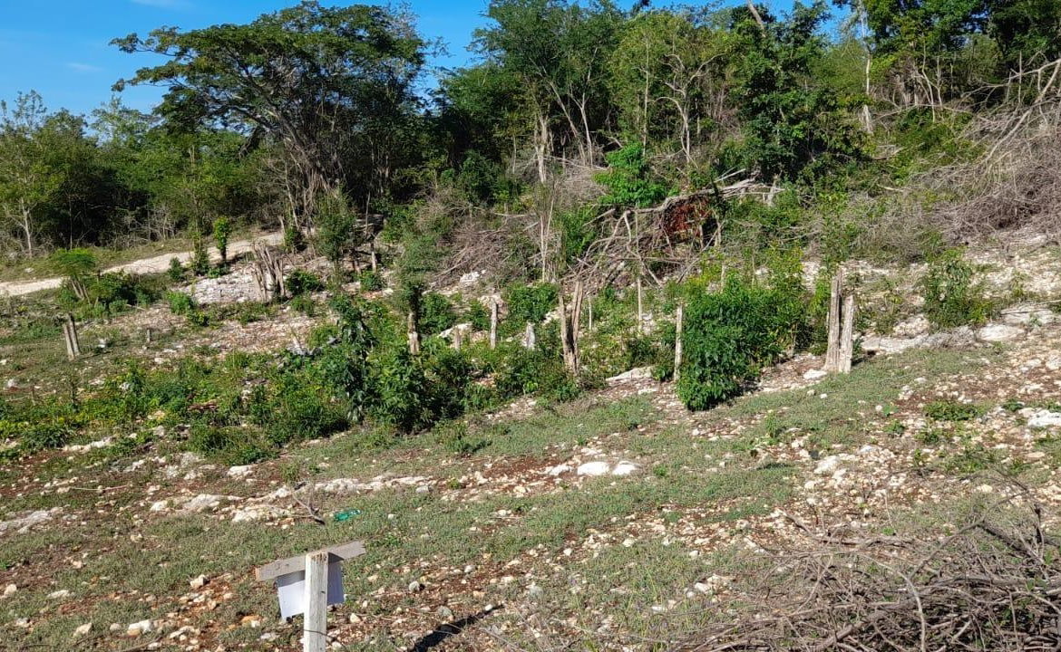 Second image of 182 Montego Drive , Montego h in Montego Heights, St. James, Jamaica - property is For Sale