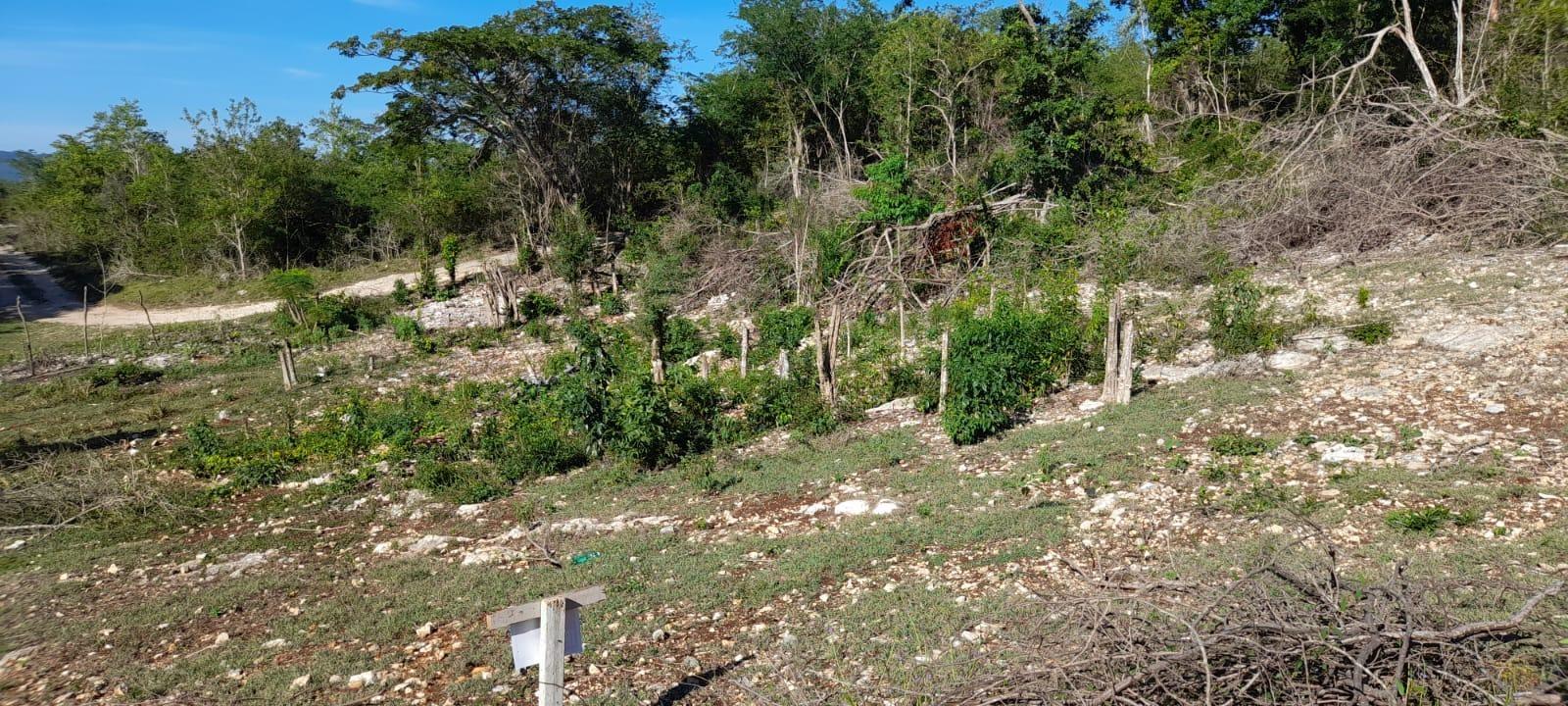 Second image of 182 Montego Drive , Montego h in Montego Heights, St. James, Jamaica - property is For Sale