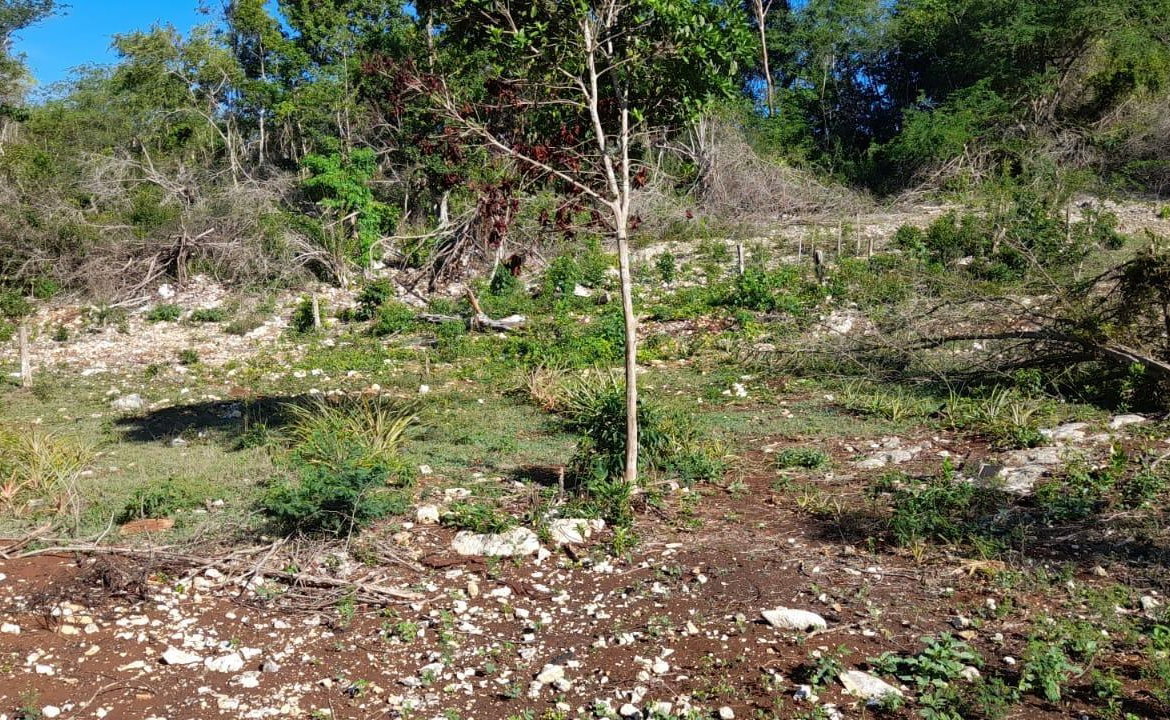 Fifth image of 182 Montego Drive , Montego h in Montego Heights, St. James, Jamaica - property is For Sale