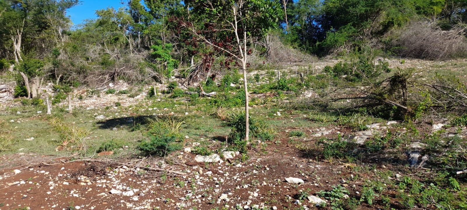 Fifth image of 182 Montego Drive , Montego h in Montego Heights, St. James, Jamaica - property is For Sale