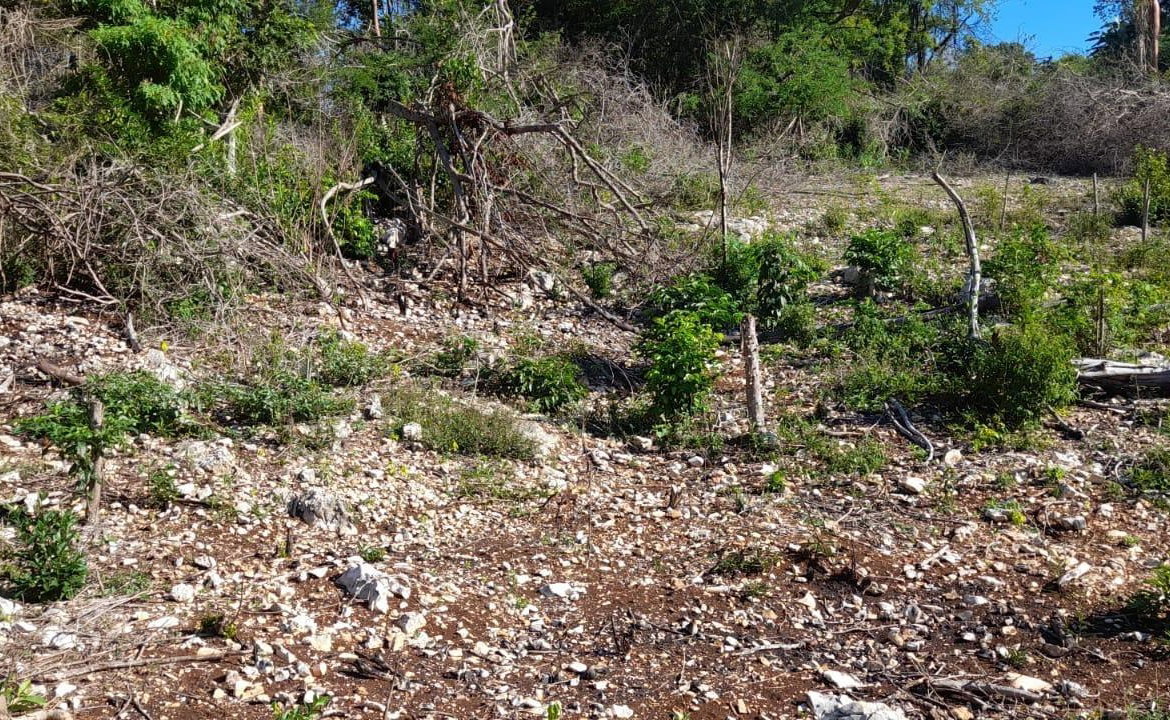 Sixth image of 182 Montego Drive , Montego h in Montego Heights, St. James, Jamaica - property is For Sale