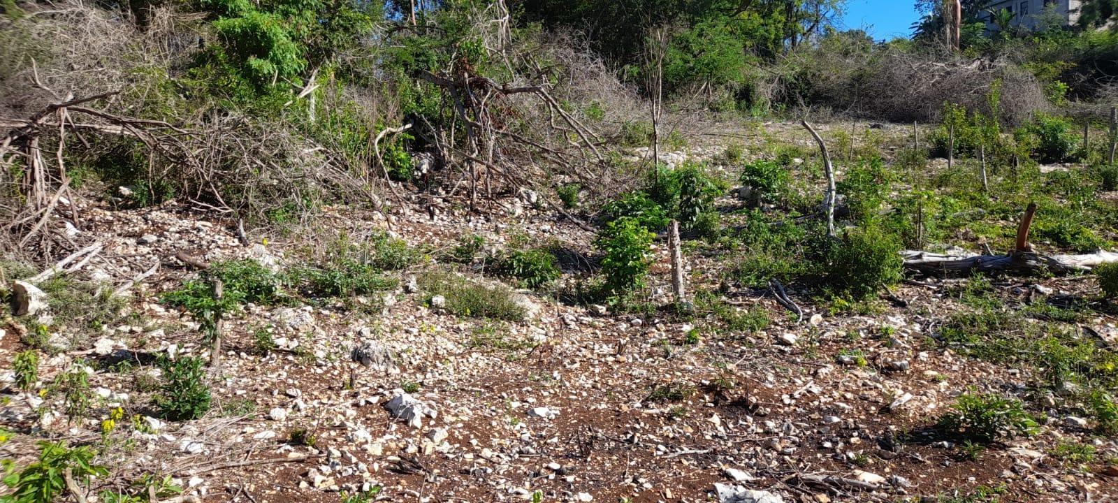 Sixth image of 182 Montego Drive , Montego h in Montego Heights, St. James, Jamaica - property is For Sale