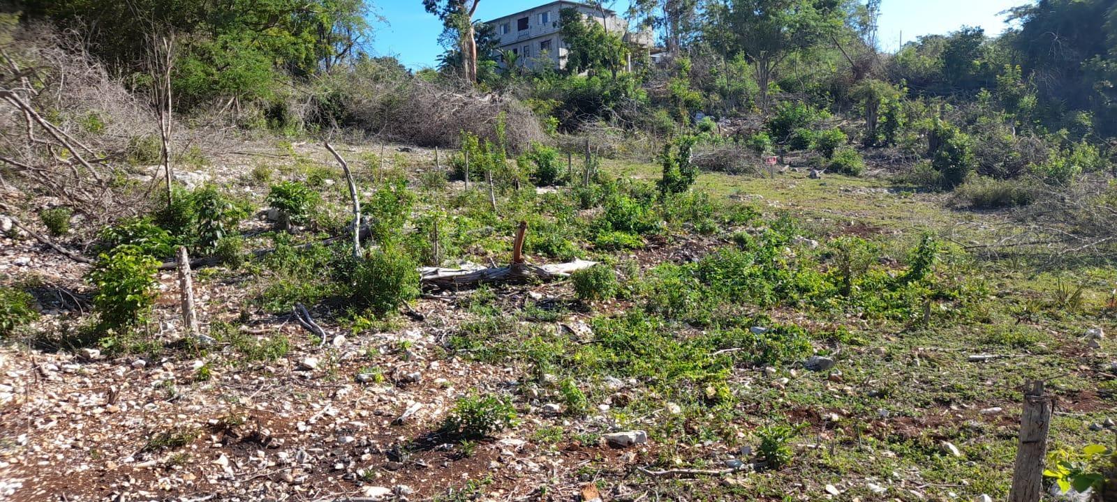 Seventh image of 182 Montego Drive , Montego h in Montego Heights, St. James, Jamaica - property is For Sale