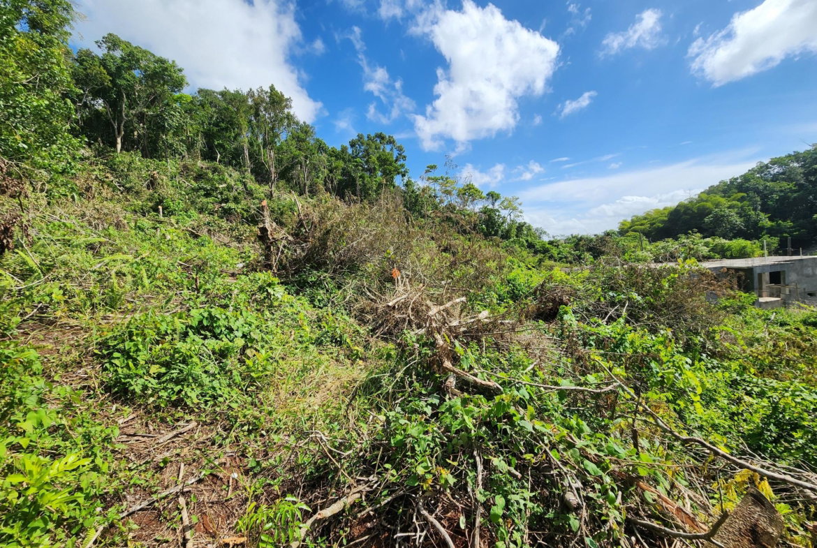 Second image of 161 Ponderosa Pathway in Moorlands Phase1&2, Manchester, Jamaica - property is For Sale