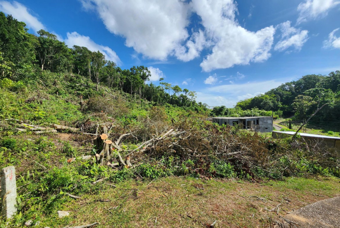Eleventh image of 161 Ponderosa Pathway in Moorlands Phase1&2, Manchester, Jamaica - property is For Sale
