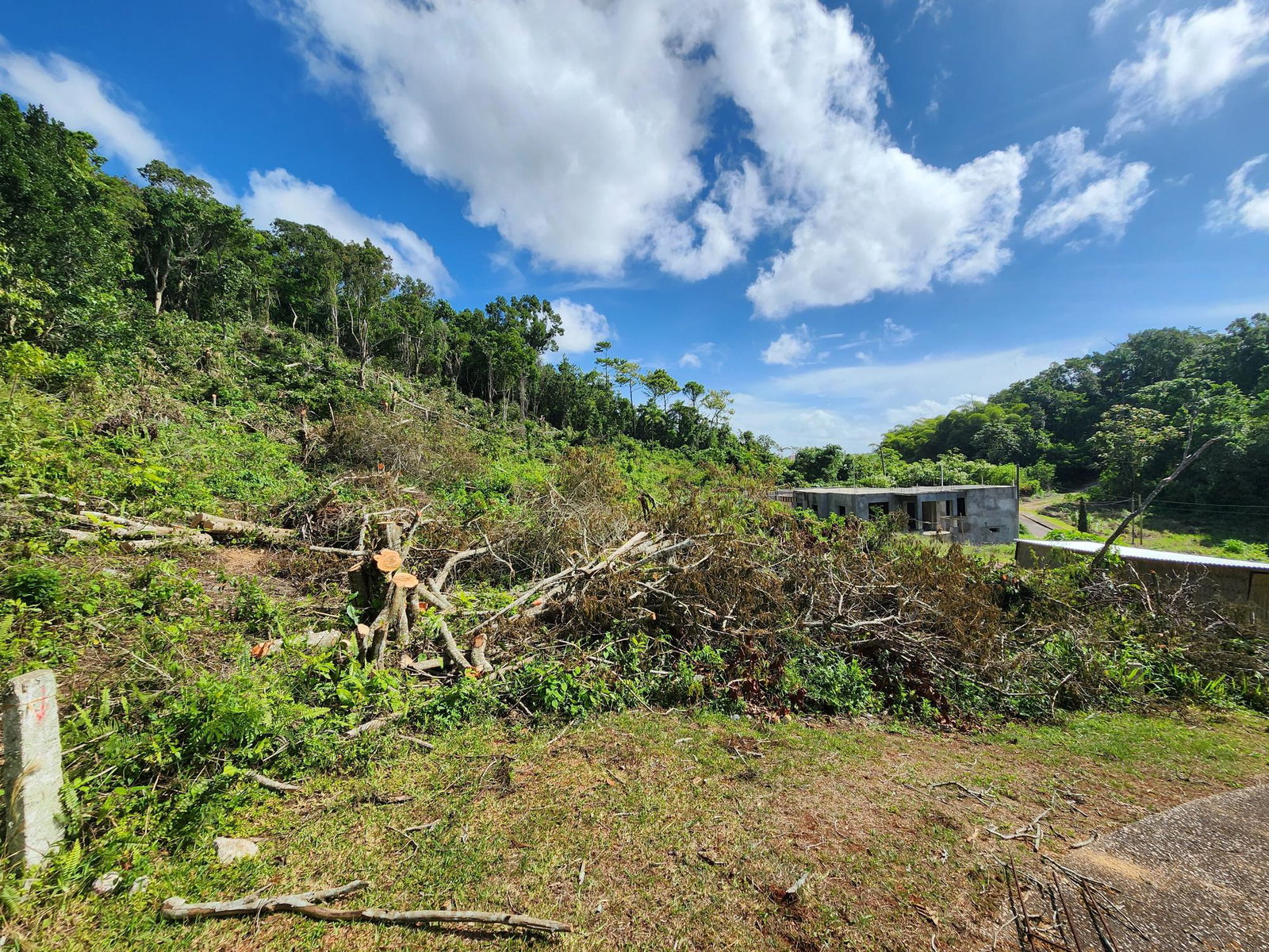 Residential-Lot-for-Sale-in-Moorlands-Estate-Mandeville-–-Prime-Half-Acre-in-Gated-Community Eleventh image of 161 Ponderosa Pathway in Moorlands Phase1&2, Manchester, Jamaica - property is For Sale