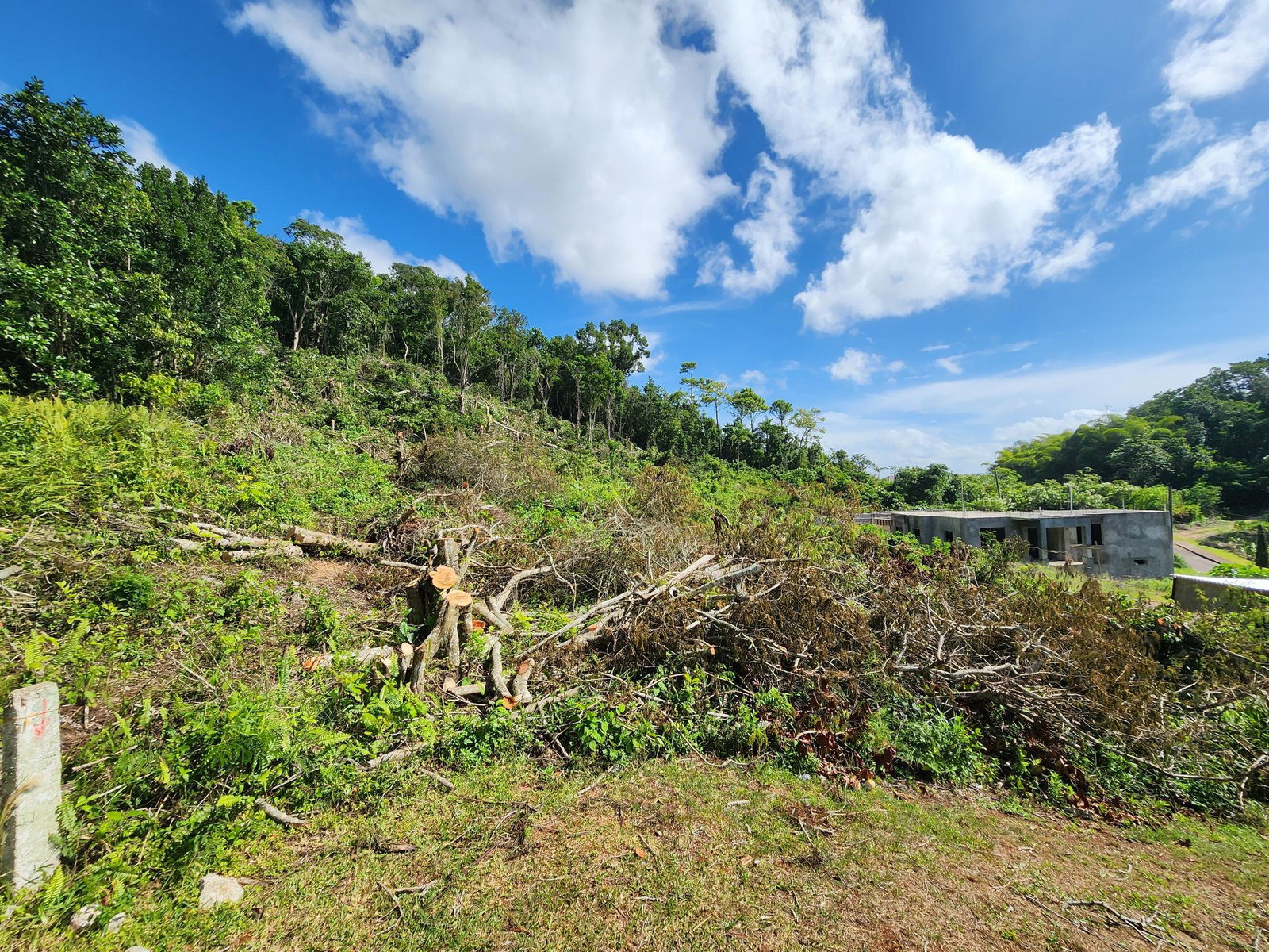 Residential-Lot-for-Sale-in-Moorlands-Estate-Mandeville-–-Prime-Half-Acre-in-Gated-Community Twelfth image of 161 Ponderosa Pathway in Moorlands Phase1&2, Manchester, Jamaica - property is For Sale