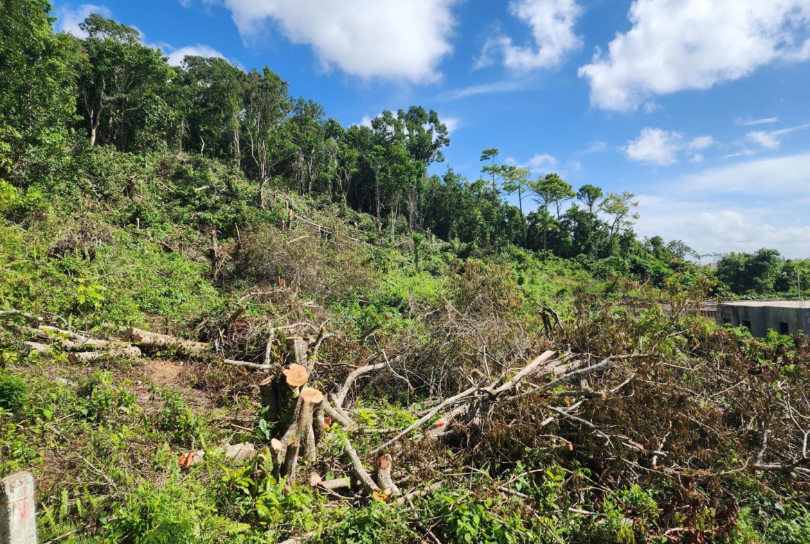 Thirteenth image of 161 Ponderosa Pathway in Moorlands Phase1&2, Manchester, Jamaica - property is For Sale