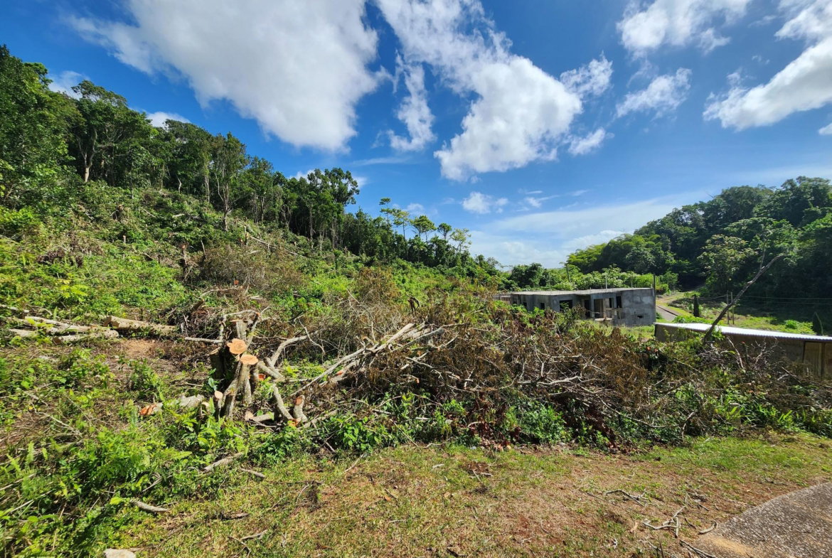 Fourteenth image of 161 Ponderosa Pathway in Moorlands Phase1&2, Manchester, Jamaica - property is For Sale