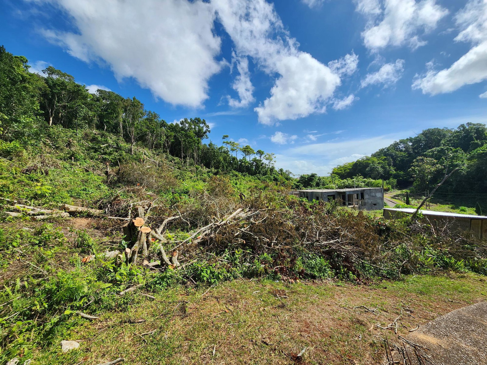 Residential-Lot-for-Sale-in-Moorlands-Estate-Mandeville-–-Prime-Half-Acre-in-Gated-Community Fourteenth image of 161 Ponderosa Pathway in Moorlands Phase1&2, Manchester, Jamaica - property is For Sale