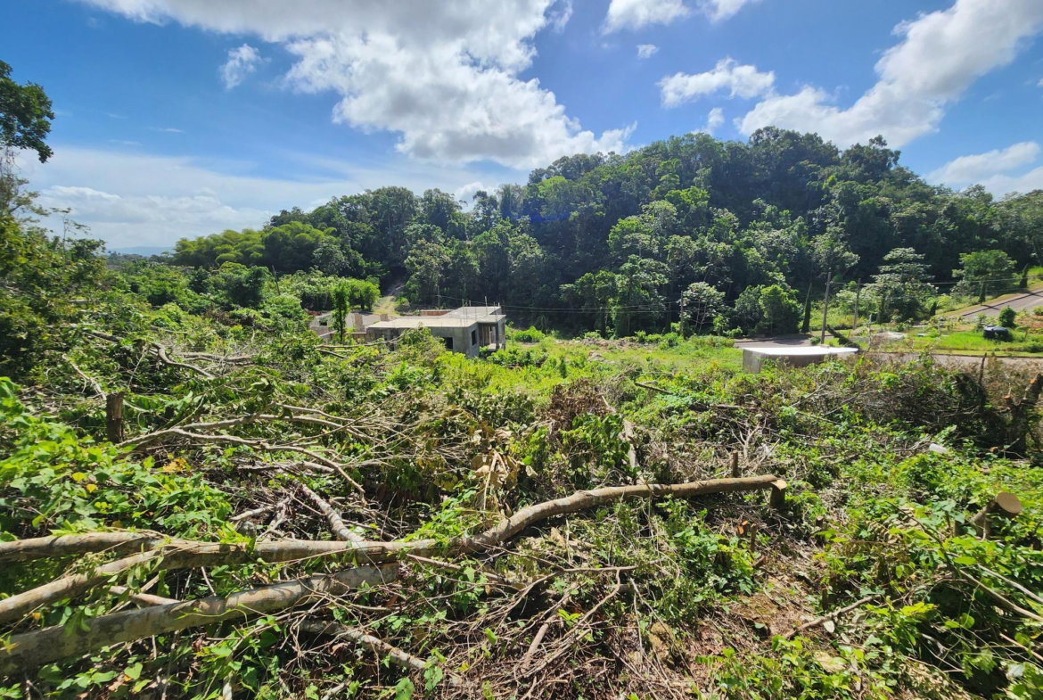 Fifteenth image of 161 Ponderosa Pathway in Moorlands Phase1&2, Manchester, Jamaica - property is For Sale