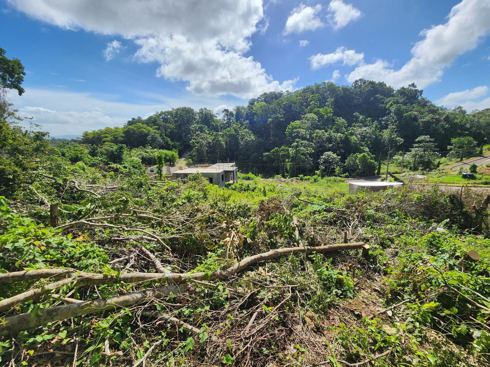 Residential-Lot-for-Sale-in-Moorlands-Estate-Mandeville-–-Prime-Half-Acre-in-Gated-Community Fifteenth image of 161 Ponderosa Pathway in Moorlands Phase1&2, Manchester, Jamaica - property is For Sale