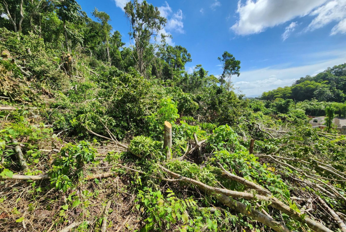Sixteenth image of 161 Ponderosa Pathway in Moorlands Phase1&2, Manchester, Jamaica - property is For Sale