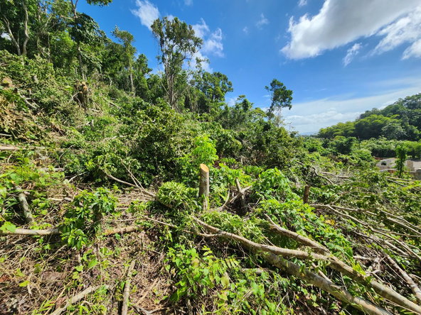 Sixteenth image of 161 Ponderosa Pathway in Moorlands Phase1&2, Manchester, Jamaica - property is For Sale