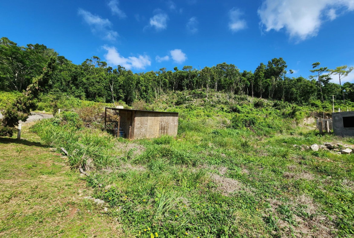 Eighteenth image of 161 Ponderosa Pathway in Moorlands Phase1&2, Manchester, Jamaica - property is For Sale