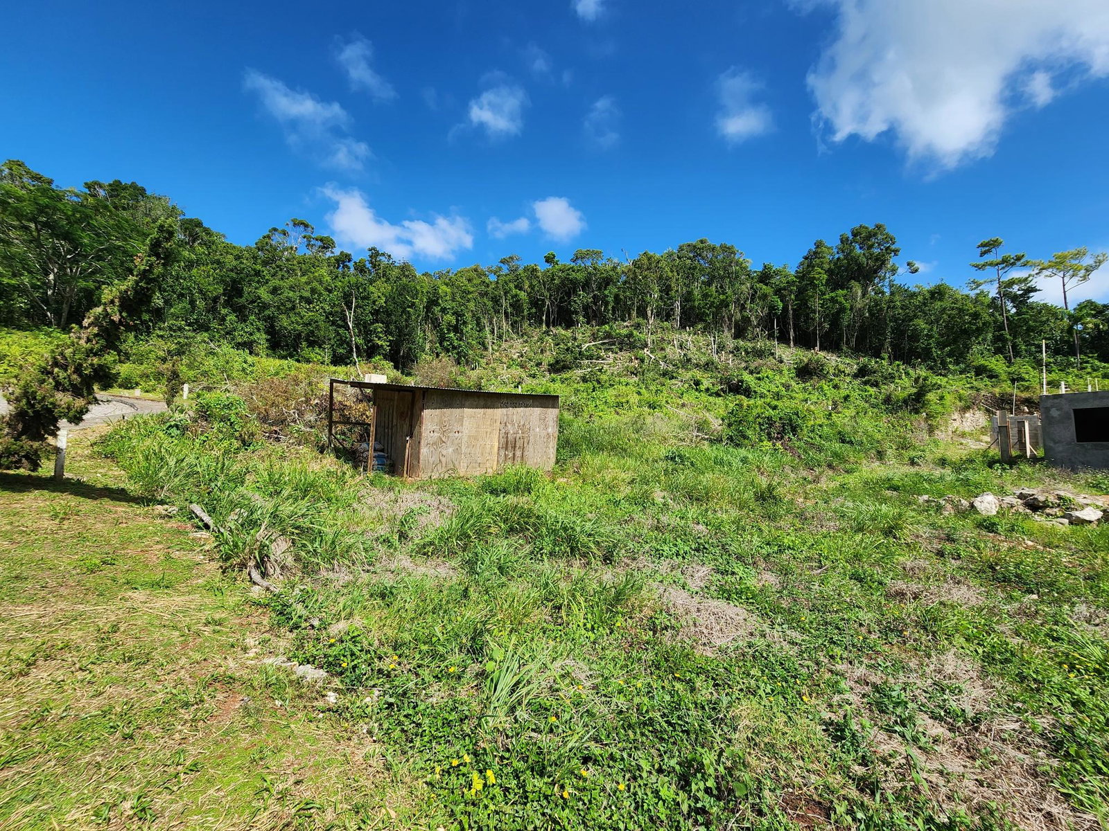 Residential-Lot-for-Sale-in-Moorlands-Estate-Mandeville-–-Prime-Half-Acre-in-Gated-Community Eighteenth image of 161 Ponderosa Pathway in Moorlands Phase1&2, Manchester, Jamaica - property is For Sale