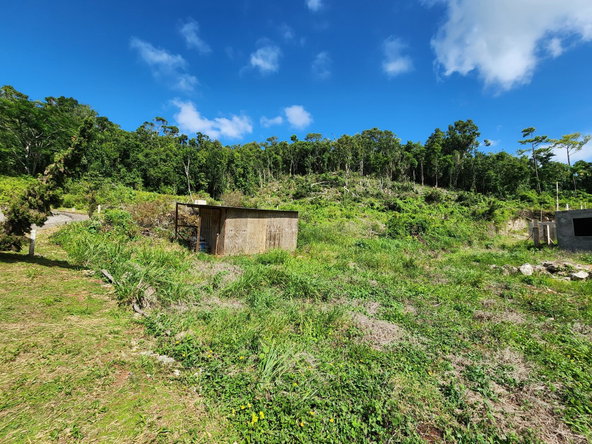 Eighteenth image of 161 Ponderosa Pathway in Moorlands Phase1&2, Manchester, Jamaica - property is For Sale