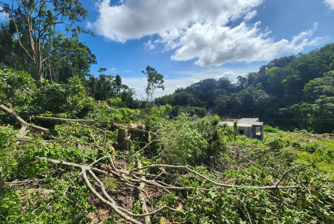 Third image of 161 Ponderosa Pathway in Moorlands Phase1&2, Manchester, Jamaica - property is For Sale