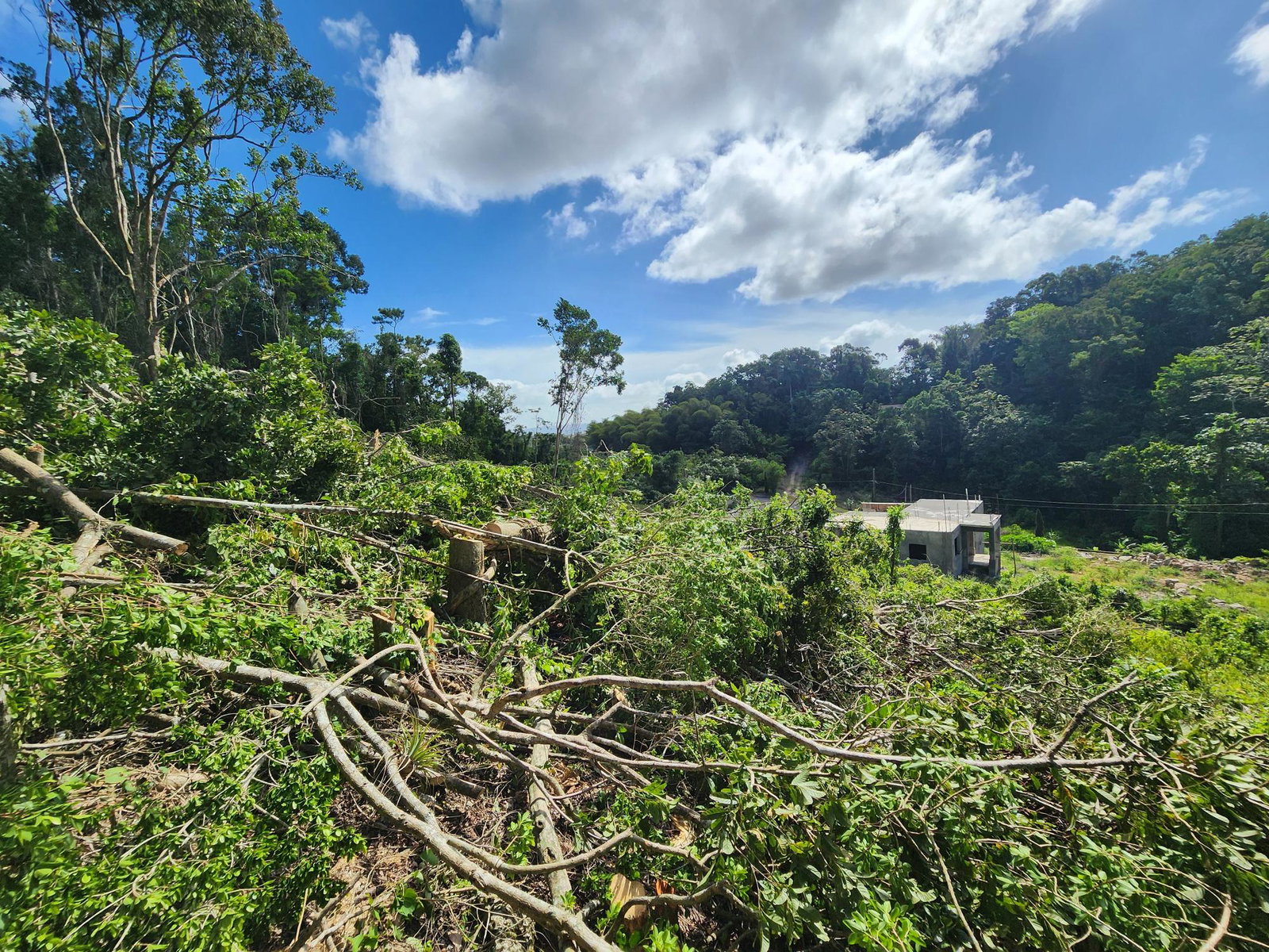 Residential-Lot-for-Sale-in-Moorlands-Estate-Mandeville-–-Prime-Half-Acre-in-Gated-Community Third image of 161 Ponderosa Pathway in Moorlands Phase1&2, Manchester, Jamaica - property is For Sale