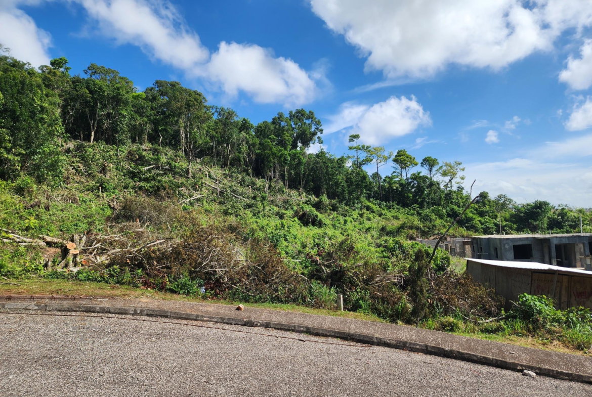 Fourth image of 161 Ponderosa Pathway in Moorlands Phase1&2, Manchester, Jamaica - property is For Sale
