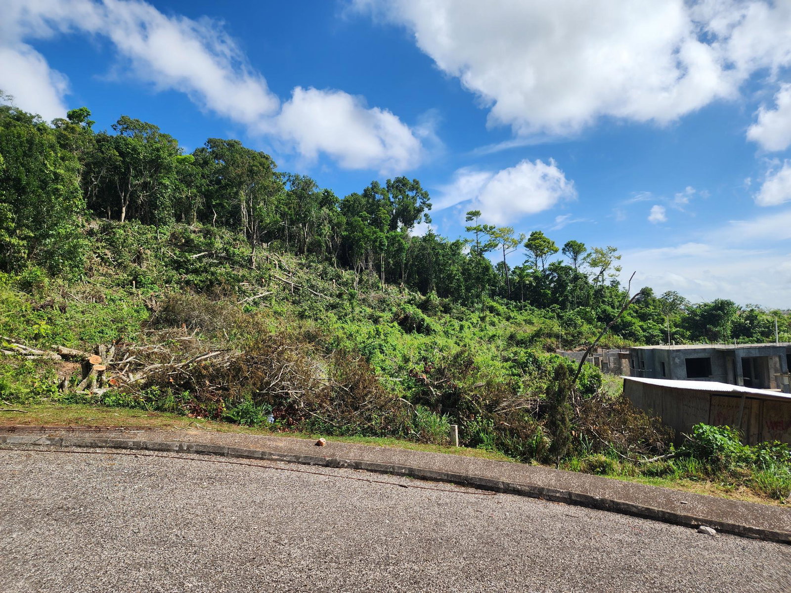 Residential-Lot-for-Sale-in-Moorlands-Estate-Mandeville-–-Prime-Half-Acre-in-Gated-Community Fourth image of 161 Ponderosa Pathway in Moorlands Phase1&2, Manchester, Jamaica - property is For Sale