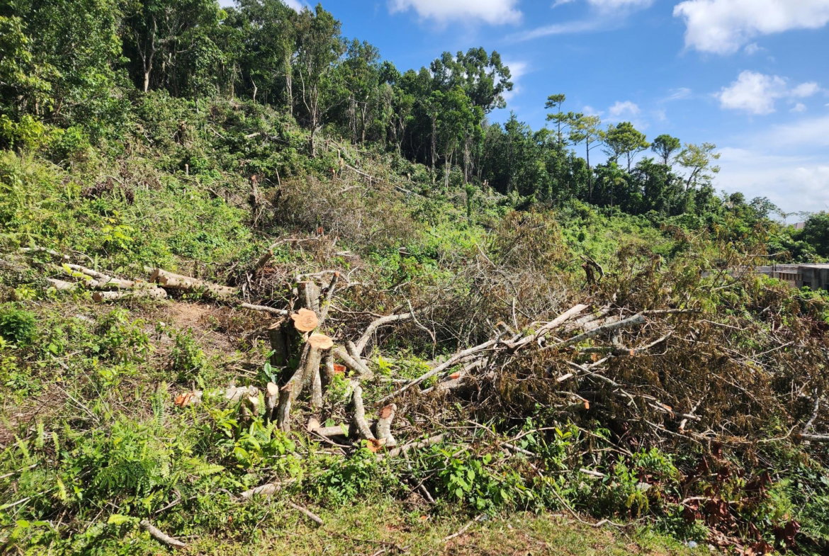 Fifth image of 161 Ponderosa Pathway in Moorlands Phase1&2, Manchester, Jamaica - property is For Sale