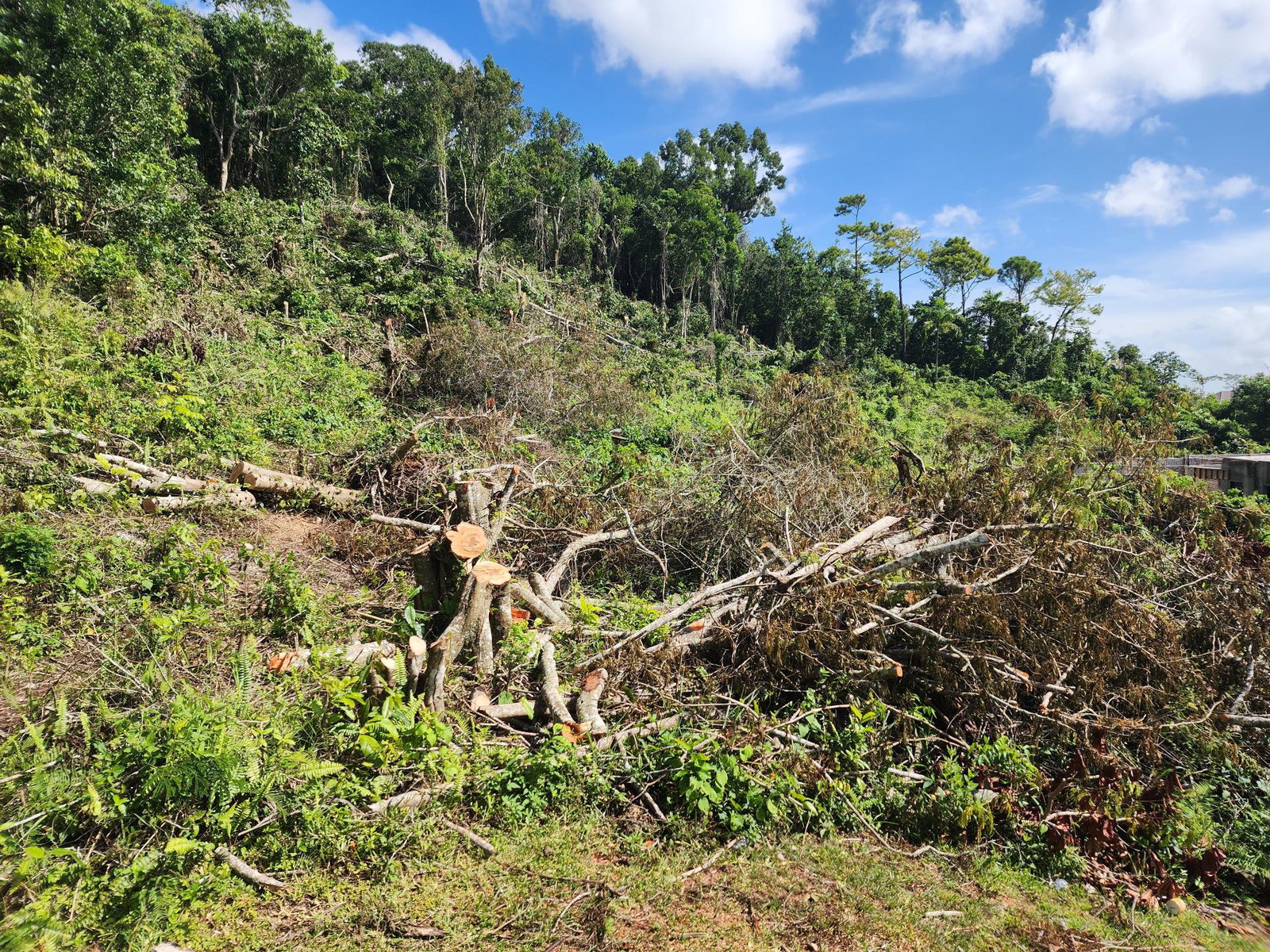 Residential-Lot-for-Sale-in-Moorlands-Estate-Mandeville-–-Prime-Half-Acre-in-Gated-Community Fifth image of 161 Ponderosa Pathway in Moorlands Phase1&2, Manchester, Jamaica - property is For Sale