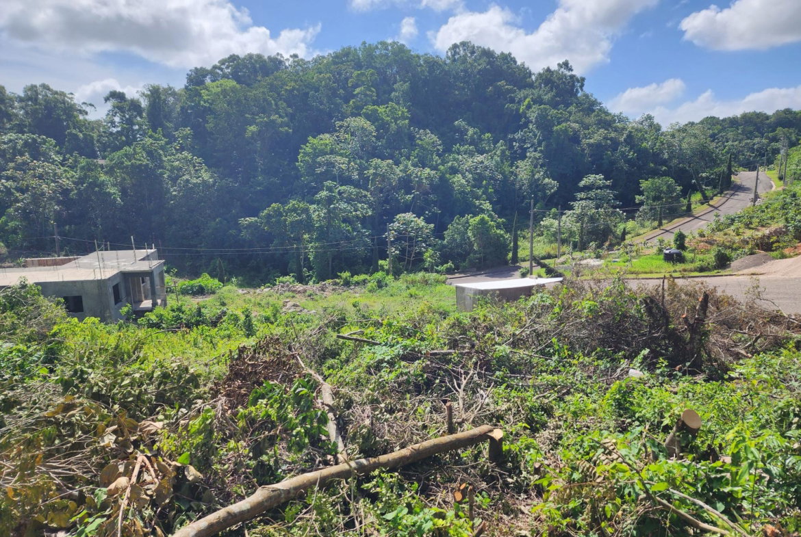 Sixth image of 161 Ponderosa Pathway in Moorlands Phase1&2, Manchester, Jamaica - property is For Sale