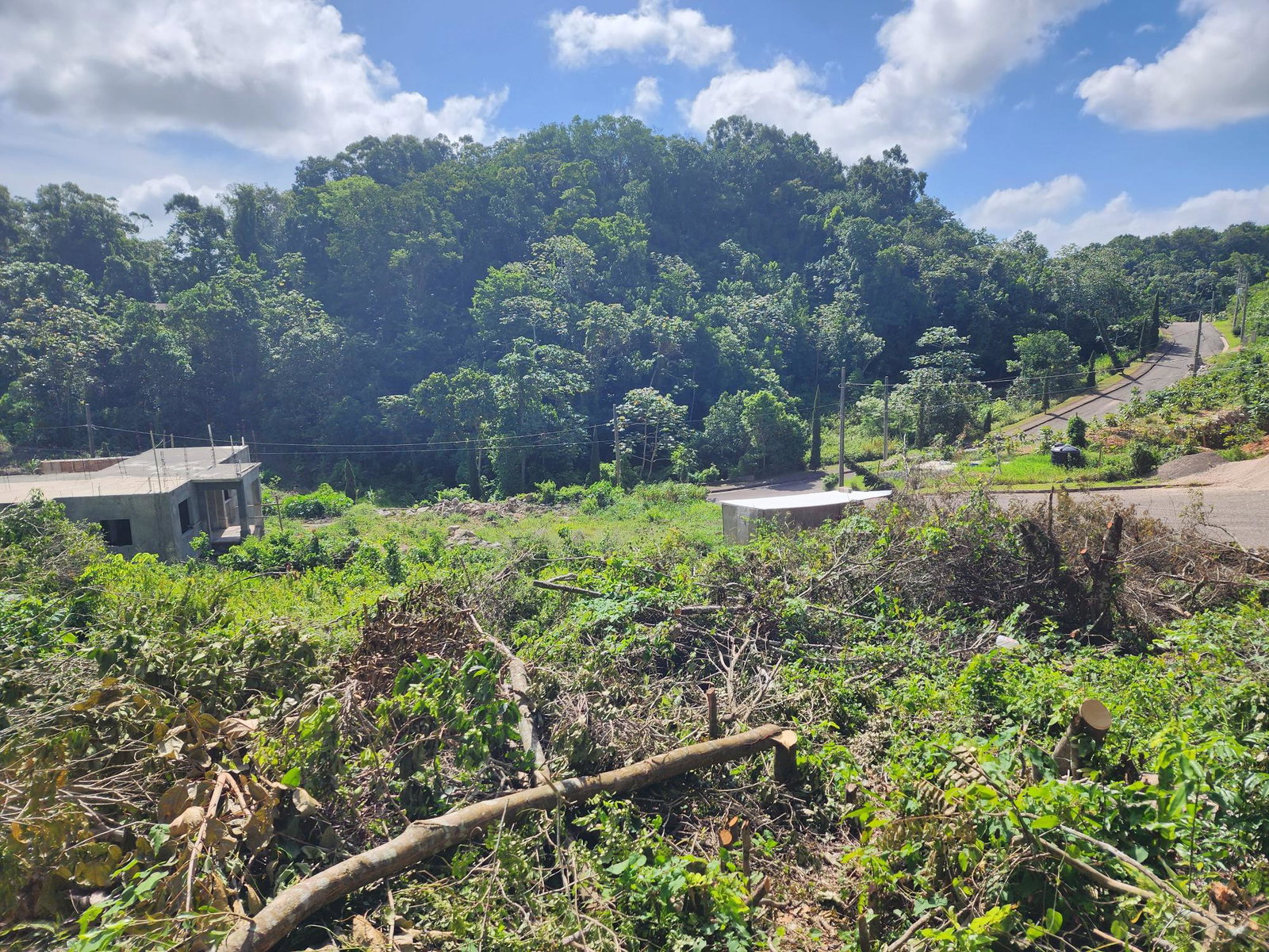 Residential-Lot-for-Sale-in-Moorlands-Estate-Mandeville-–-Prime-Half-Acre-in-Gated-Community Sixth image of 161 Ponderosa Pathway in Moorlands Phase1&2, Manchester, Jamaica - property is For Sale