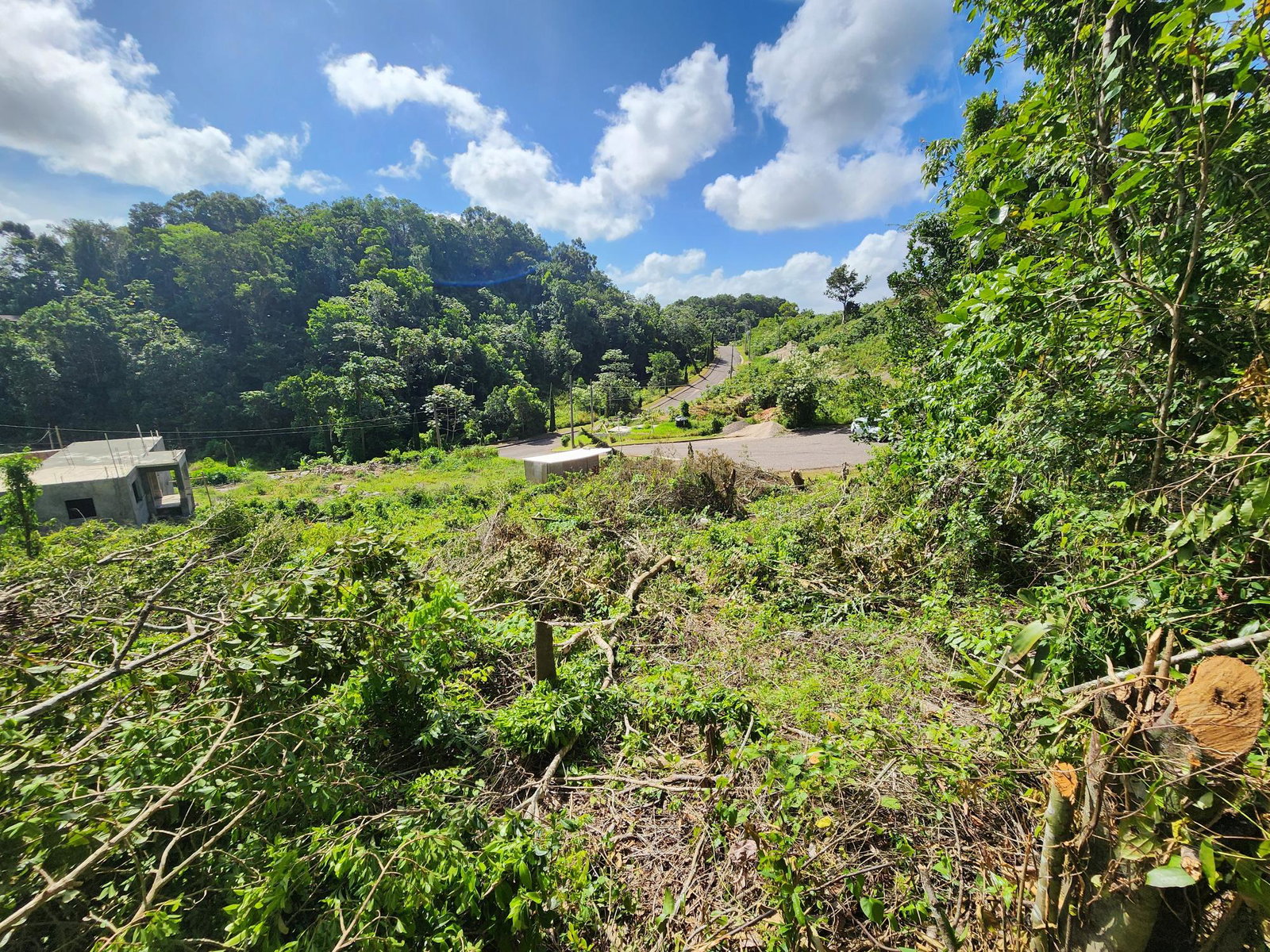 Residential-Lot-for-Sale-in-Moorlands-Estate-Mandeville-–-Prime-Half-Acre-in-Gated-Community Seventh image of 161 Ponderosa Pathway in Moorlands Phase1&2, Manchester, Jamaica - property is For Sale