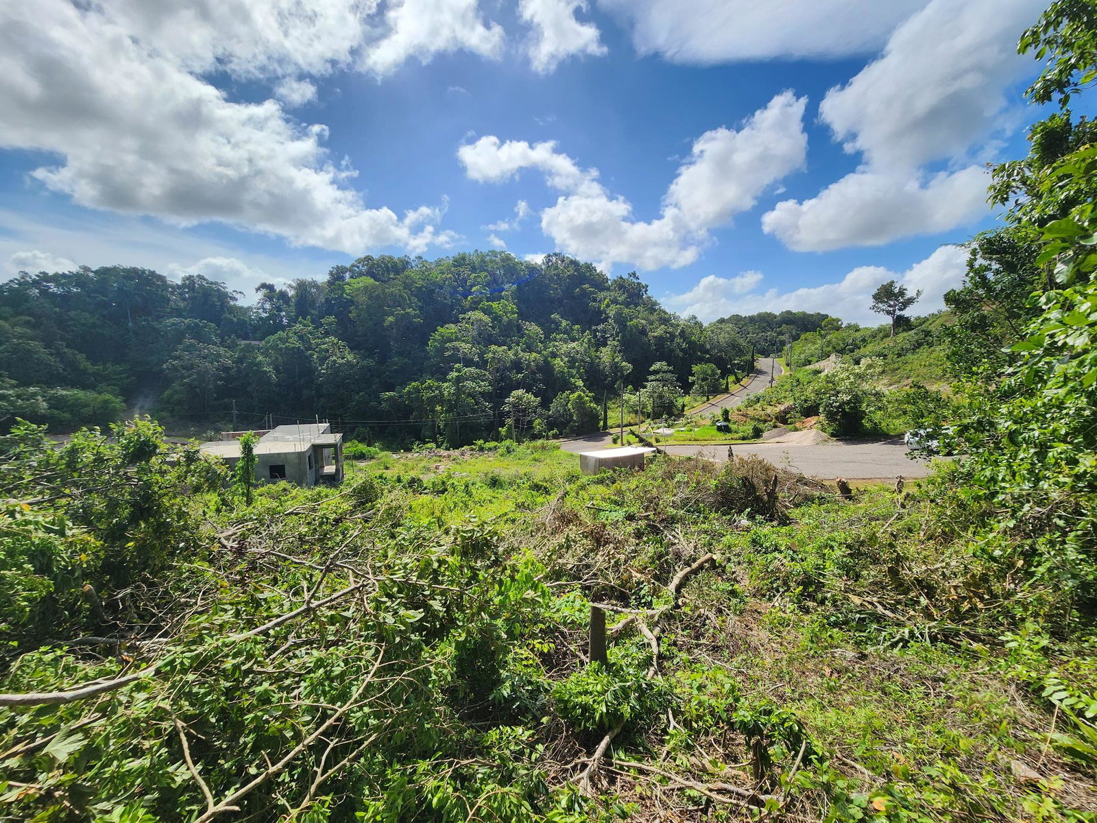 Residential-Lot-for-Sale-in-Moorlands-Estate-Mandeville-–-Prime-Half-Acre-in-Gated-Community Eighth image of 161 Ponderosa Pathway in Moorlands Phase1&2, Manchester, Jamaica - property is For Sale