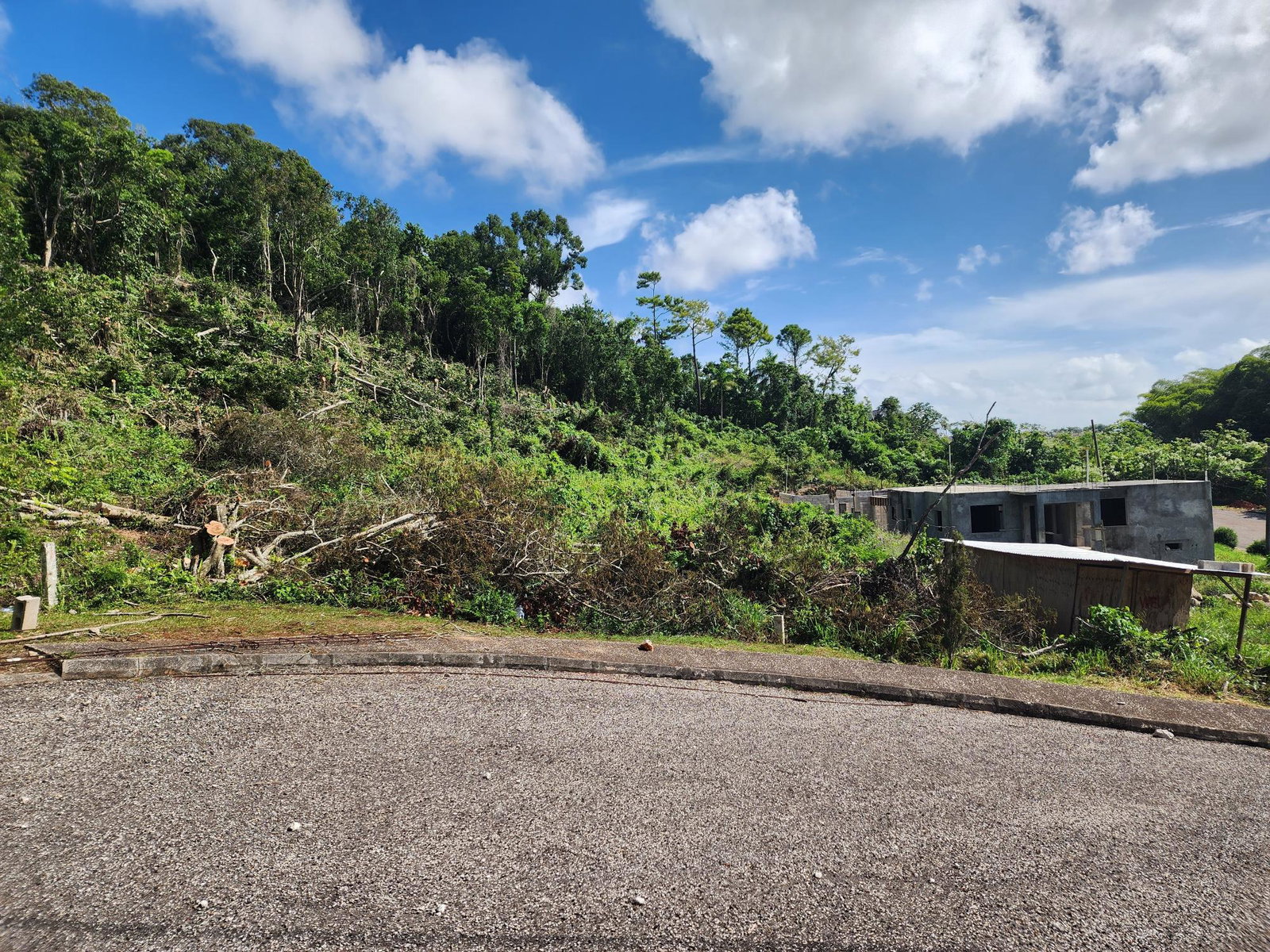 Residential-Lot-for-Sale-in-Moorlands-Estate-Mandeville-–-Prime-Half-Acre-in-Gated-Community Tenth image of 161 Ponderosa Pathway in Moorlands Phase1&2, Manchester, Jamaica - property is For Sale