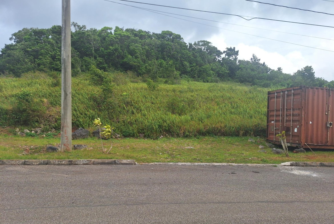 Eleventh image of 138 Moorlands Maor in Mandeville, Manchester, Jamaica - property is For Sale