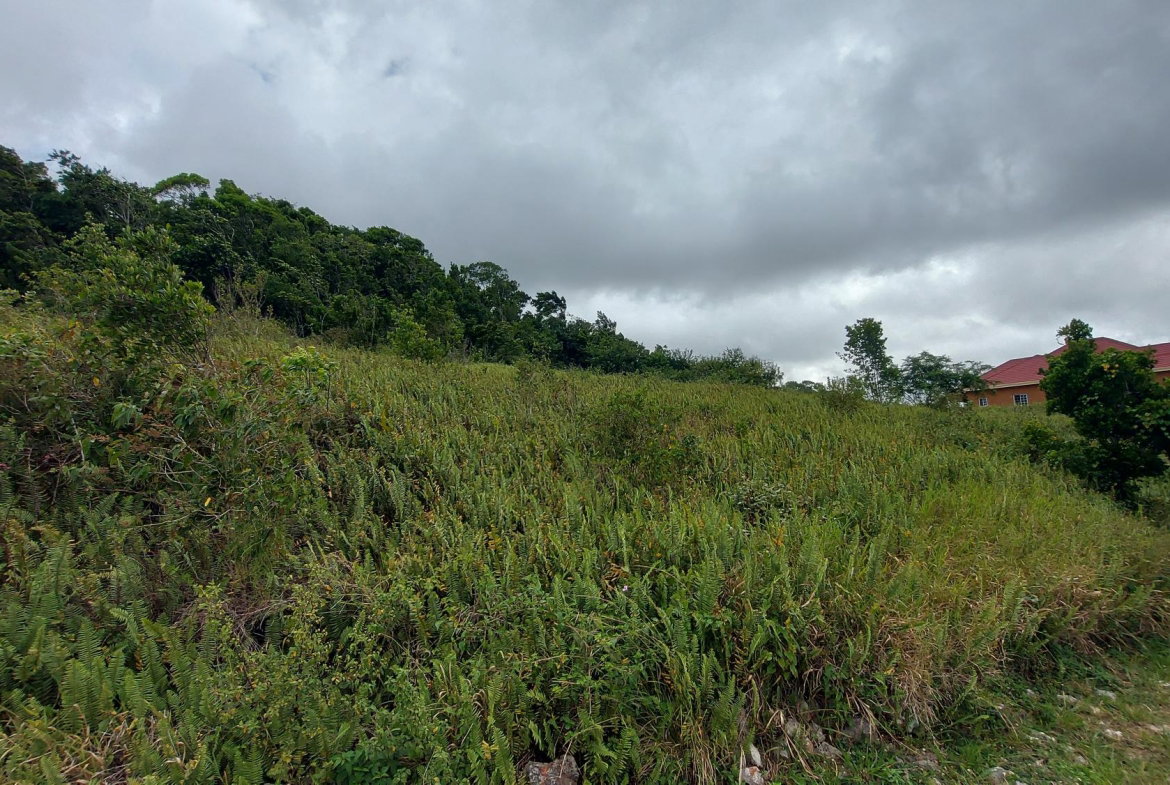 Third image of 138 Moorlands Maor in Mandeville, Manchester, Jamaica - property is For Sale