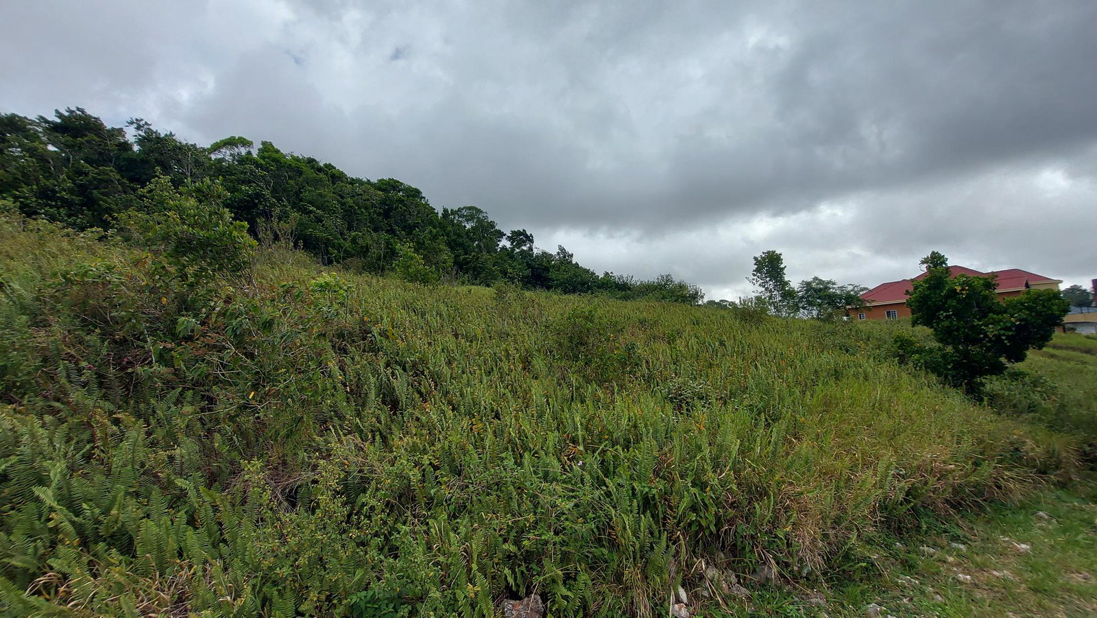 Third image of 138 Moorlands Maor in Mandeville, Manchester, Jamaica - property is For Sale