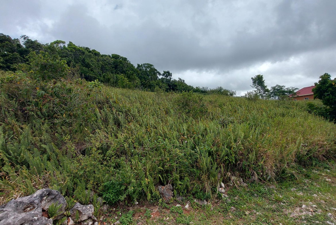 Fourth image of 138 Moorlands Maor in Mandeville, Manchester, Jamaica - property is For Sale