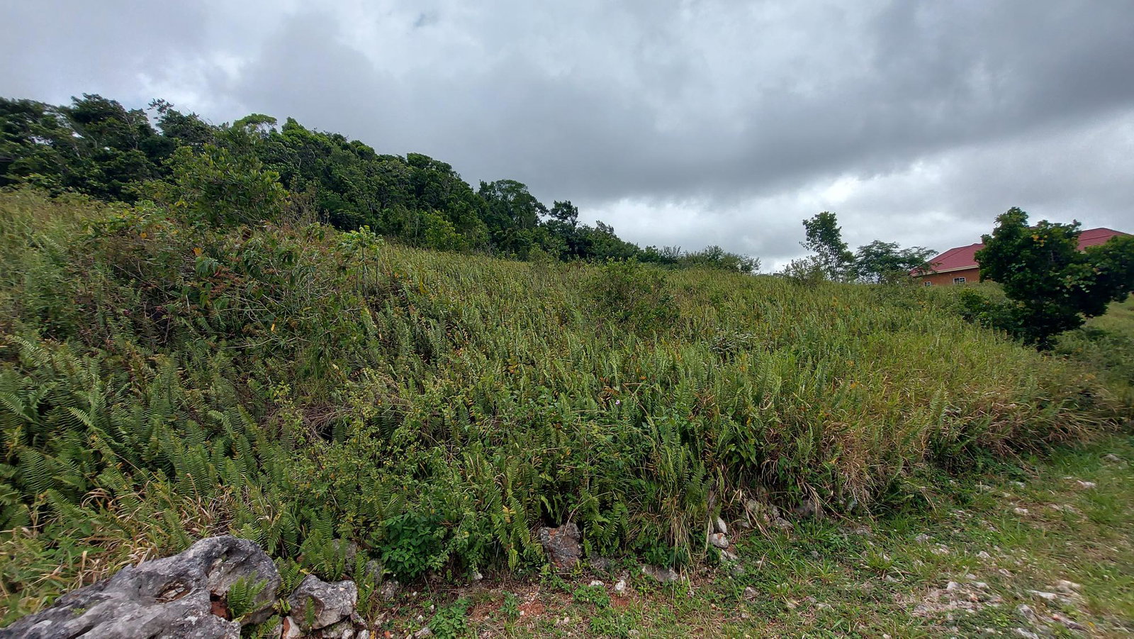 Fourth image of 138 Moorlands Maor in Mandeville, Manchester, Jamaica - property is For Sale