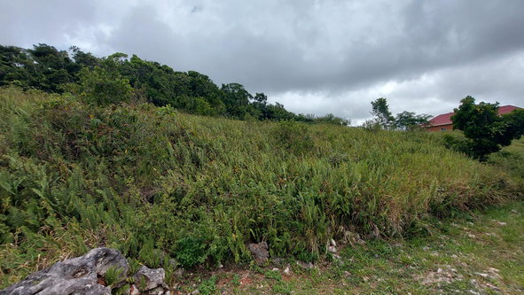 Fourth image of 138 Moorlands Maor in Mandeville, Manchester, Jamaica - property is For Sale