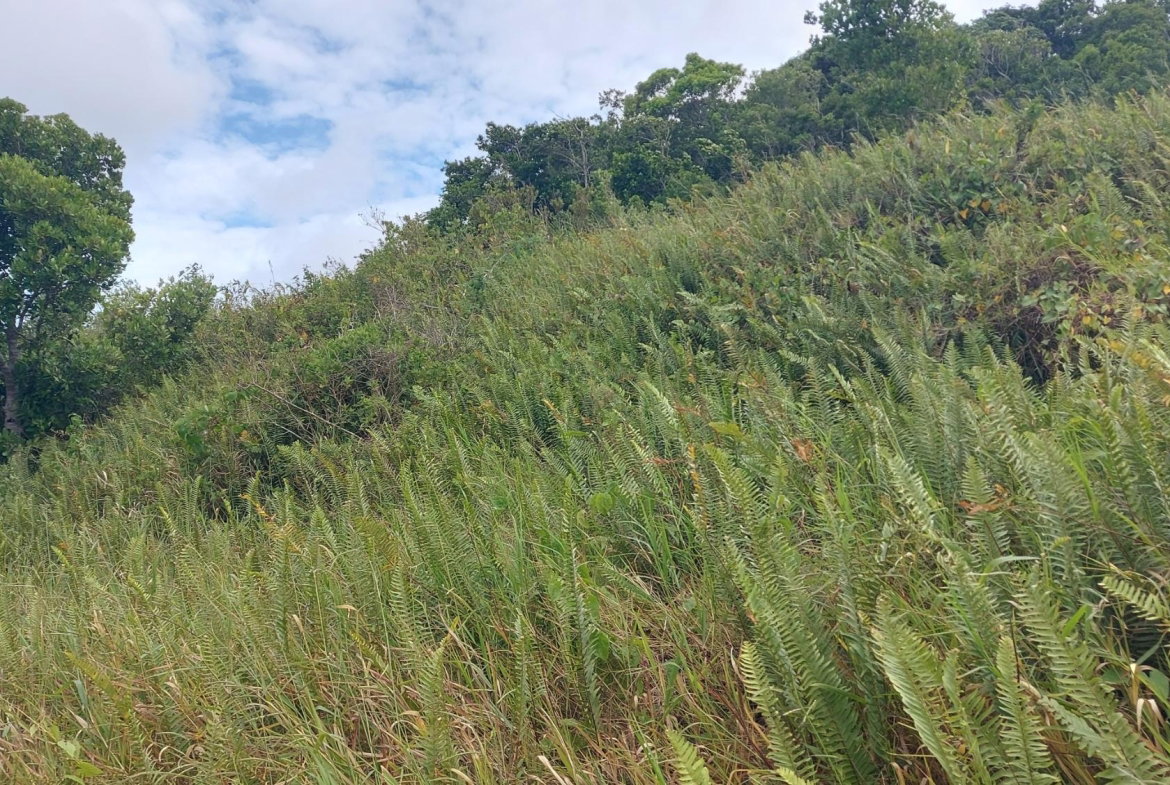 Fifth image of 138 Moorlands Maor in Mandeville, Manchester, Jamaica - property is For Sale