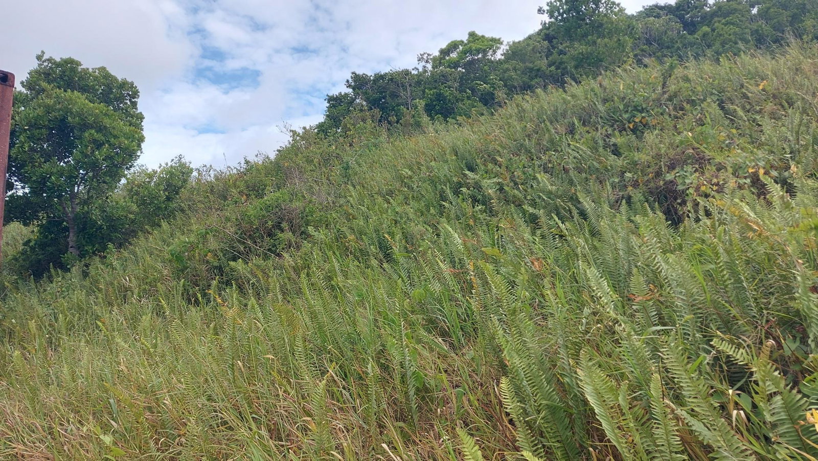 Fifth image of 138 Moorlands Maor in Mandeville, Manchester, Jamaica - property is For Sale